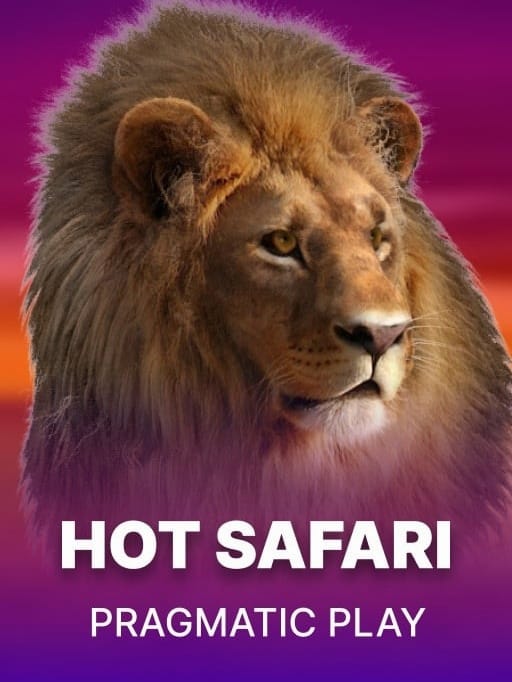 Hot Safari game cover